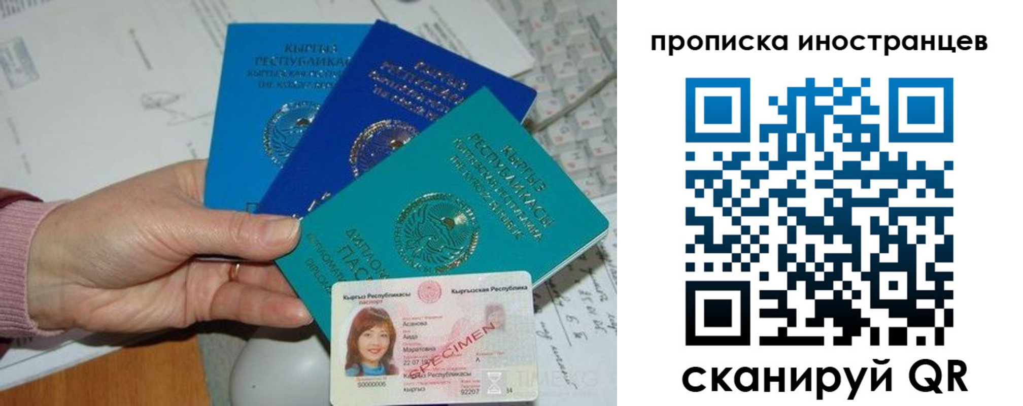 прописка для школы в Балашихе